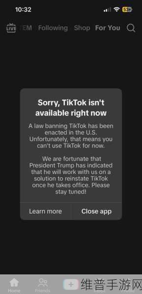 TikTok在美国停止服务，手游攻略数据的深度分析与影响