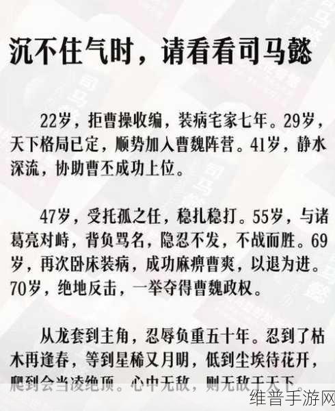 深度剖析少年三国志魏国橙将司马懿,资源管理的智慧与艺术