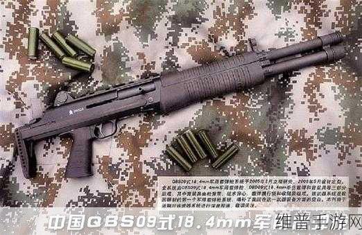 辐射避难所武器伤害计算全解析，打造你的战斗利器