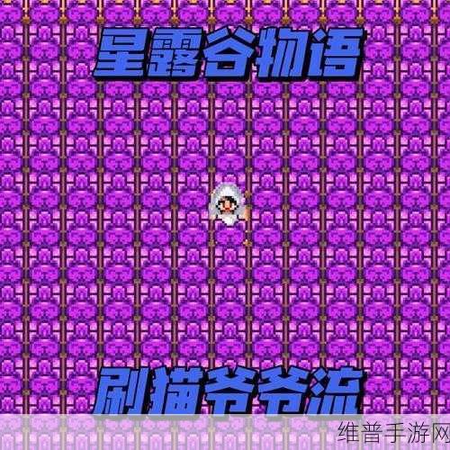 星露谷物语紫色短裤获取攻略，如何拥有两条幸运紫色短裤