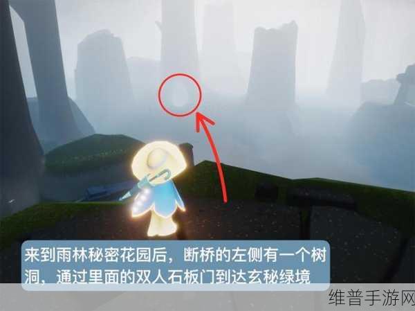 光遇小王子季第二个任务全解析指南