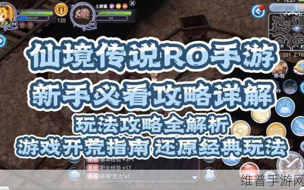 仙境传说RO手游刺客速升等级全攻略