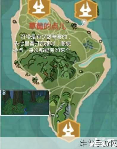 创造与魔法，独角兽进化的奥秘与果实需求详解