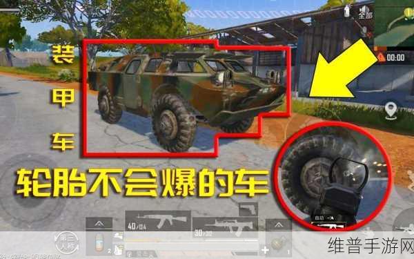和平精英进不去游戏全面解析与攻略