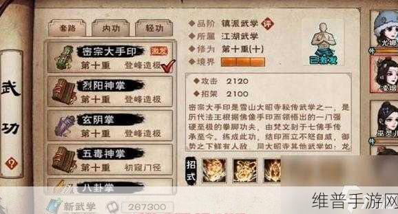 烟雨江湖深度攻略，太祖拳经武学出处及招式属性全解析