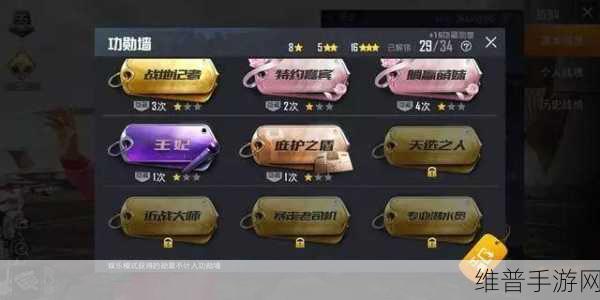 和平精英天降神兵勋章获取全攻略