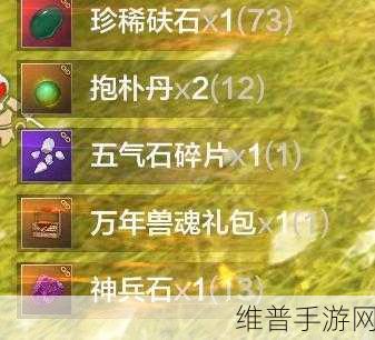 妄想山海神兵任务全攻略，解锁神秘力量的钥匙
