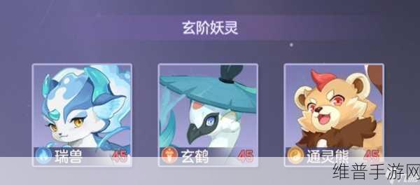 长安幻想 45 级玄阶宠物深度解析与精选推荐