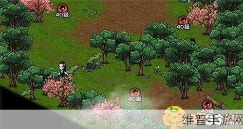 烟雨江湖深度攻略，揭秘龙泉箱子获得方法