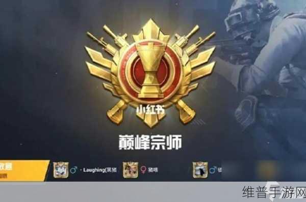 和平精英段位保护全解析，助你攀登游戏巅峰