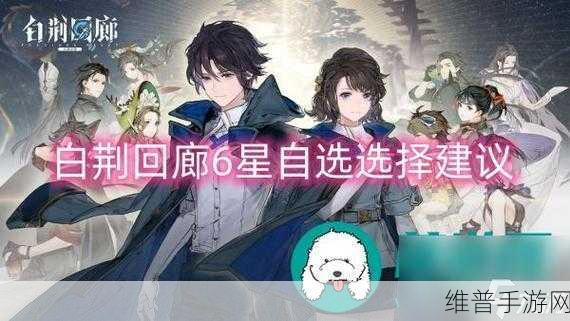 白荆回廊六星自选指南，精准抉择提升战力