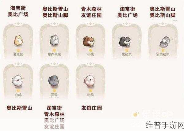 奥比岛，梦想国度迷雾商店位置全揭秘 珍稀道具轻松拿