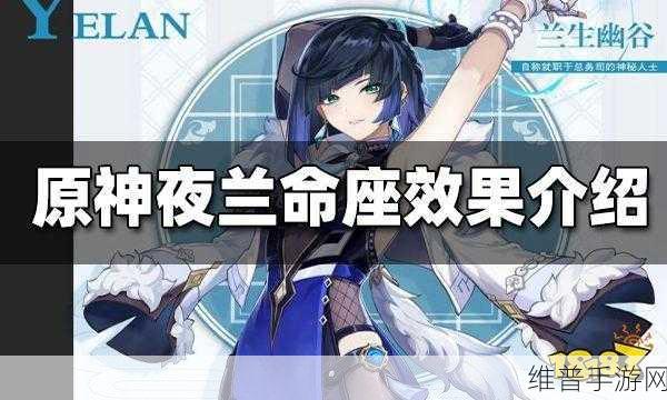 原神0命夜兰强度深度剖析，她在队伍中的最佳定位与效果