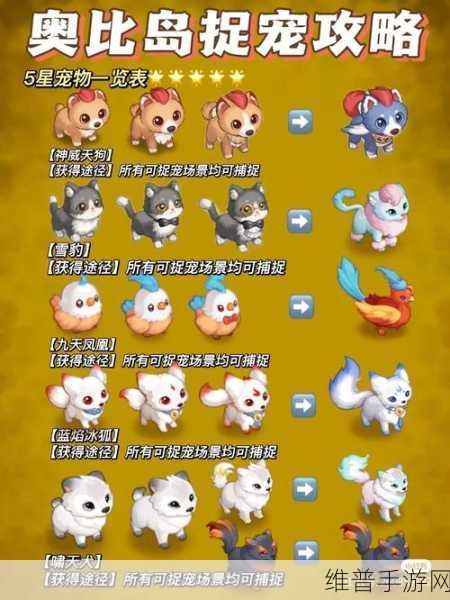 深入剖析奥比岛手游快乐稻屋玩法攻略，提升建造效率的小技巧全揭秘