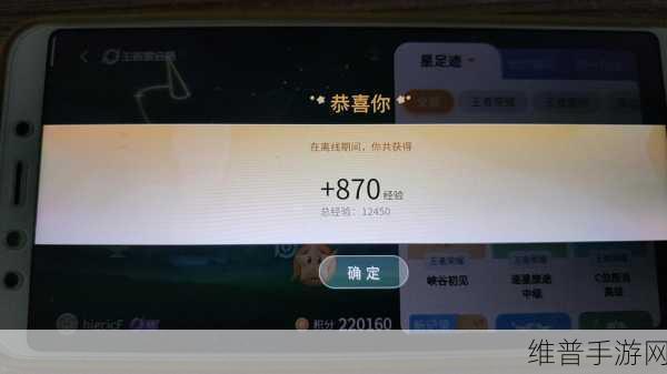 王者荣耀星会员快速刷取经验全攻略