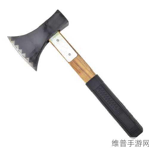 暗影格斗3双刃斧连招深度攻略，解锁战斗新境界
