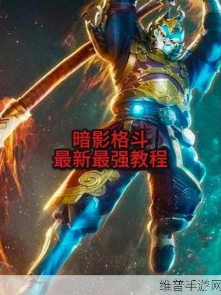 暗影格斗3双刃斧连招深度攻略，解锁战斗新境界