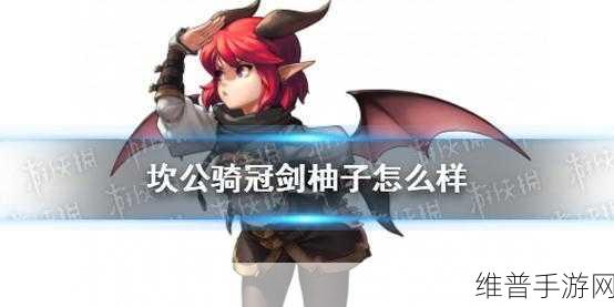 坎公骑冠剑中柚子角色的深度剖析