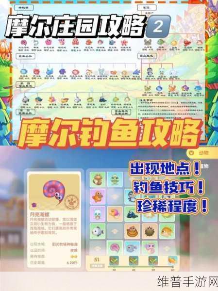 摩尔庄园手游小镇钓鱼图鉴全解析