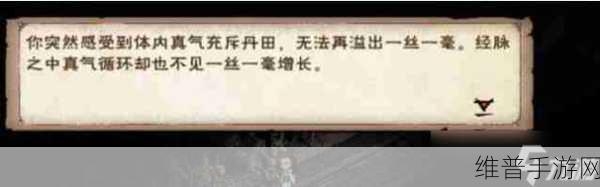 烟雨江湖影月往事支线任务全攻略，解锁与完成技巧深度解析