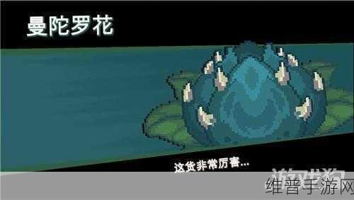 元气骑士飞梭战机获得方法深度解析，助你快速获取终极武器！