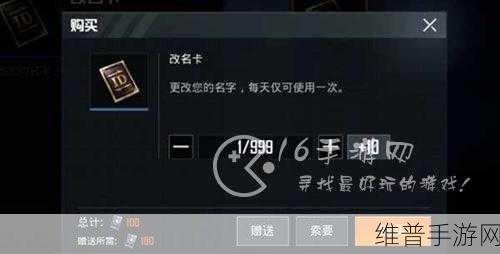 和平精英改名攻略，轻松掌握改名方法