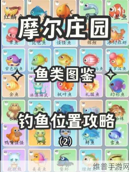 摩尔庄园手游小镇钓鱼点全攻略，解锁钓鱼乐趣的秘籍