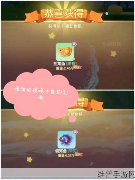 摩尔庄园手游小镇钓鱼点全攻略，解锁钓鱼乐趣的秘籍