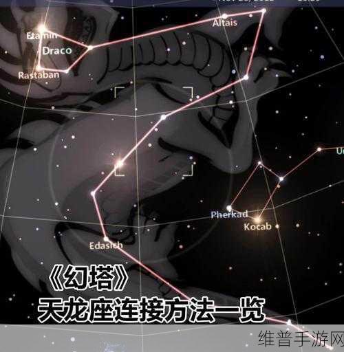 幻塔天龙座星座完美连结秘籍