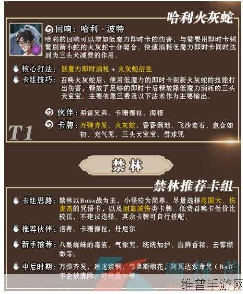 哈利波特魔法觉醒主流强力卡组全解析，最佳搭配与制胜策略