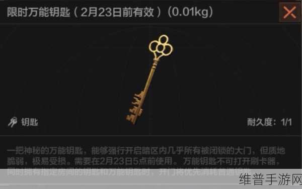 暗区突围钥匙玩法详解，掌握关键技巧，畅享游戏乐趣