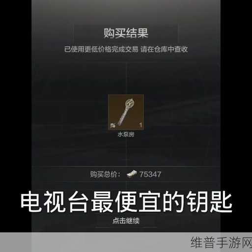 暗区突围钥匙玩法详解，掌握关键技巧，畅享游戏乐趣