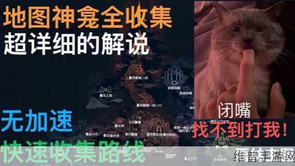 光遇风行季第二个任务全攻略，探索雨林隐藏图的奇妙之旅