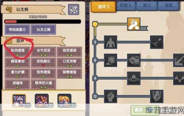 伊洛纳良性变异速刷全攻略，助你战力飙升