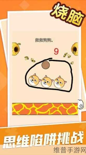 脑洞大师第14关通关秘籍，解锁智慧之门，揭秘小鸡之谜！