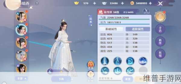 梦幻新诛仙禅音仙友的完美搭配秘籍
