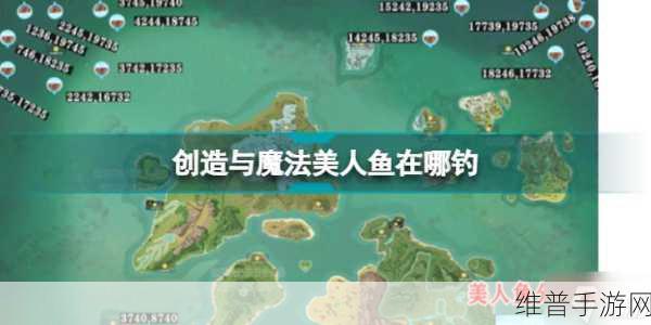 探索创造与魔法中的美人鱼秘境，详尽位置指南