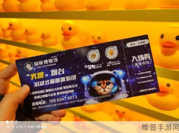 猫博物馆第六关深度攻略，解锁猫咪世界的奇妙之旅