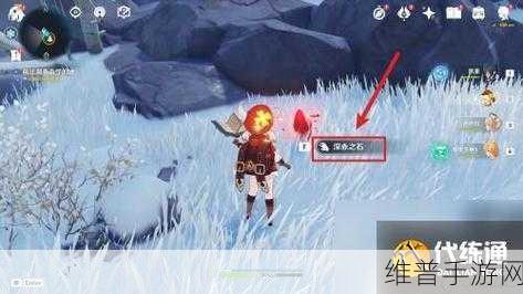 原神探索之旅，深入解析调查奇怪的冰任务攻略
