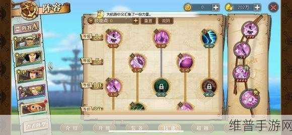 航海王热血航线乔巴技能最强加点推荐