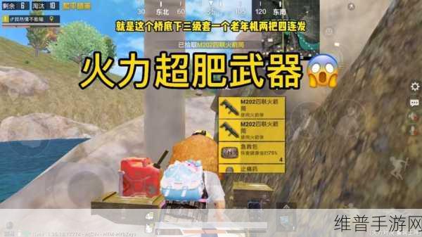 和平精英全新武器大全，火力对决重武器获取方法深度解析