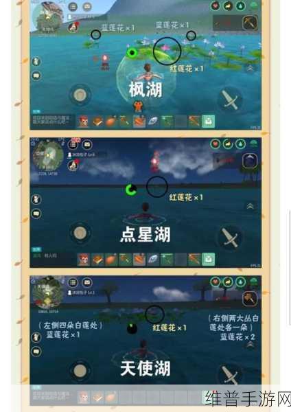 创造与魔法手游攻略，探寻蓝莲的丰饶之地与分布详解