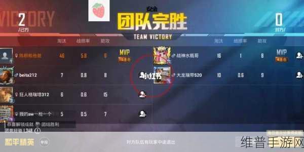 和平精英团队竞技视角放大 BUG 卡法全揭秘