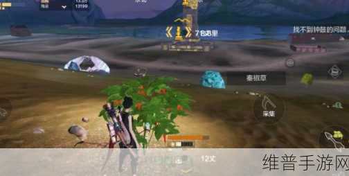 妄想山海手游攻略，详解棪果酱的制作方法与效用