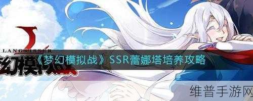 梦幻模拟战蕾娜塔职业路线深度解析