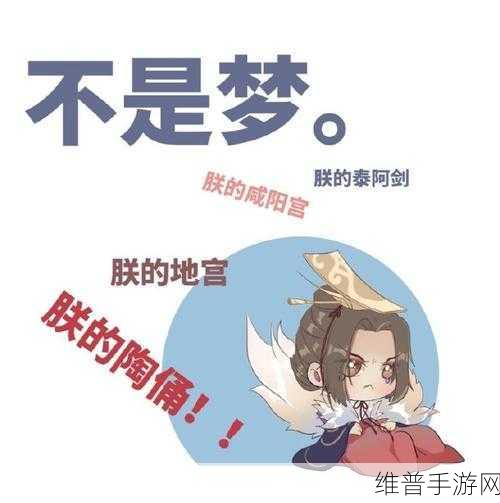 忘川风华录，嬴政最强伤害灵器搭配秘籍
