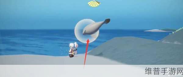 光遇海洋节活动全攻略，一分钟速览
