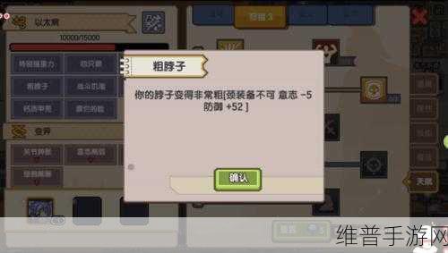 伊洛纳以太风全面解析，刮风时长与应对策略