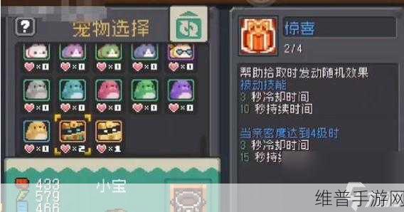 元气骑士，提升宠物亲密度的全方位指南
