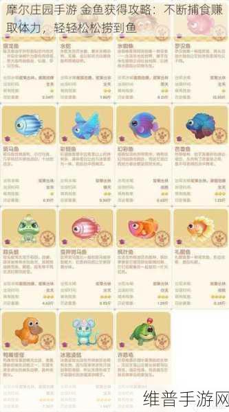 摩尔庄园手游，小红猪载具获取秘籍大公开